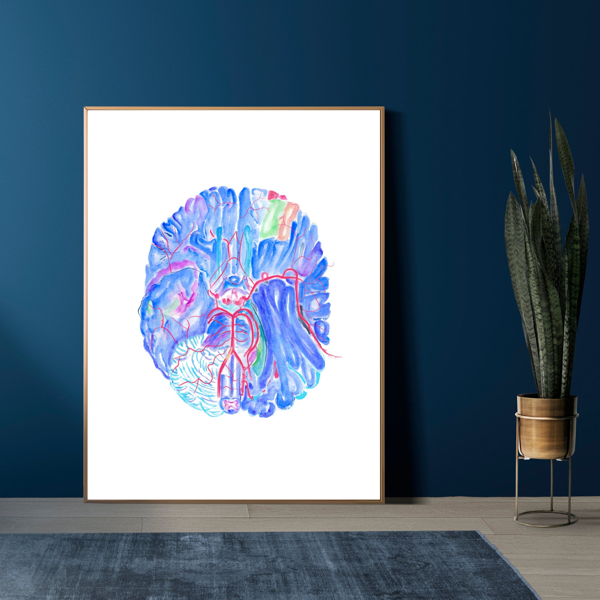 brain anatomy art