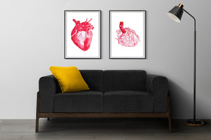 Human Heart Anatomy Art Print Set, Heart Vascularization Art Print, Cardiology Art, Interventional Radiology Print, Cardiologist Gift