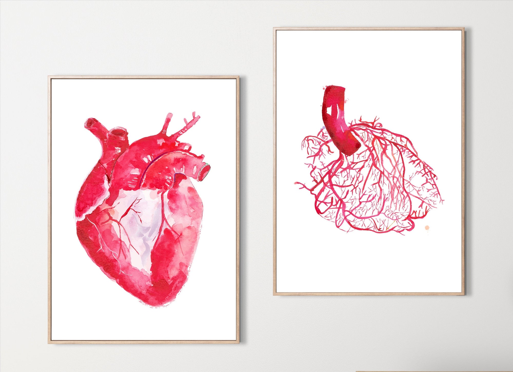 Human Heart Anatomy and Coronary Angiography Art Print Set