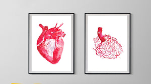 Human Heart Anatomy Art Print Set, Heart Vascularization Art Print, Cardiology Art, Interventional Radiology Print, Cardiologist Gift
