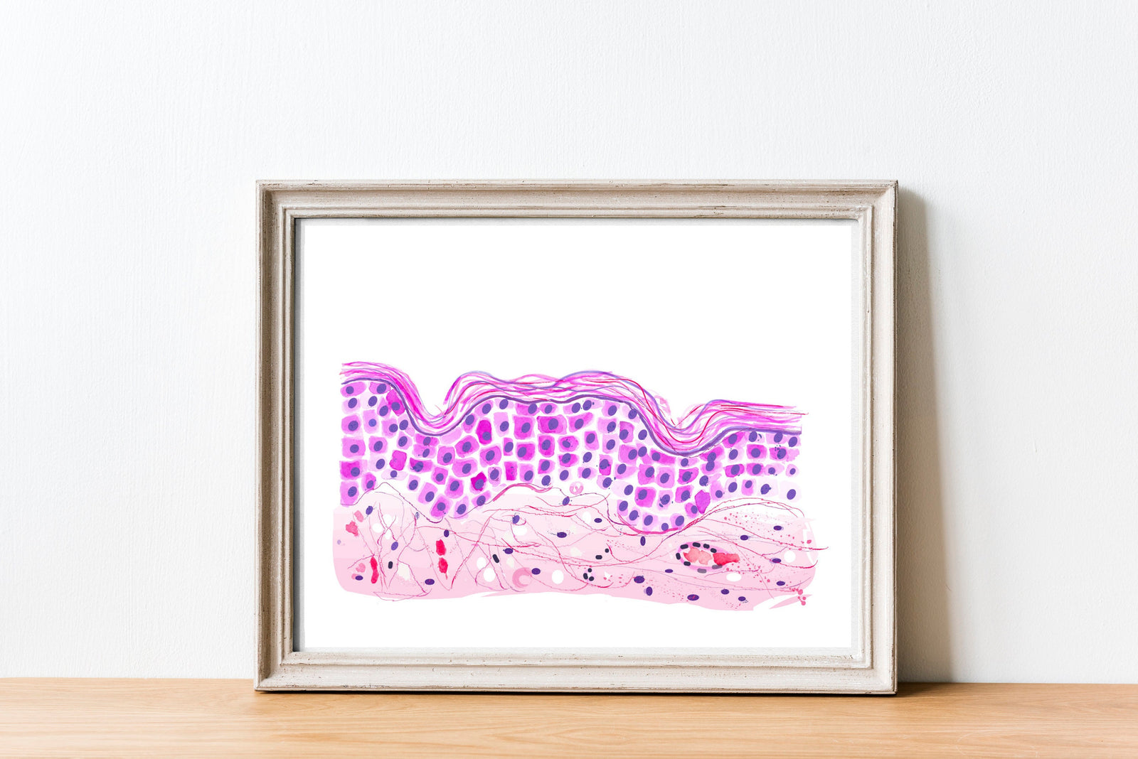 Skin Histology Watercolor Art