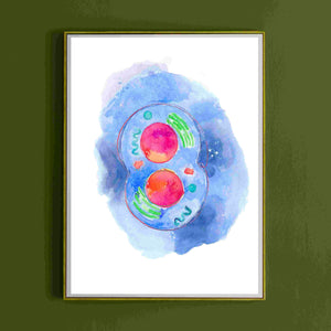 Cell Division Art, Biology Art, Genetic Art Print, Physiology Art, Biologist Gift, Science Art Print, Biology Wall Art, Mitosis Art