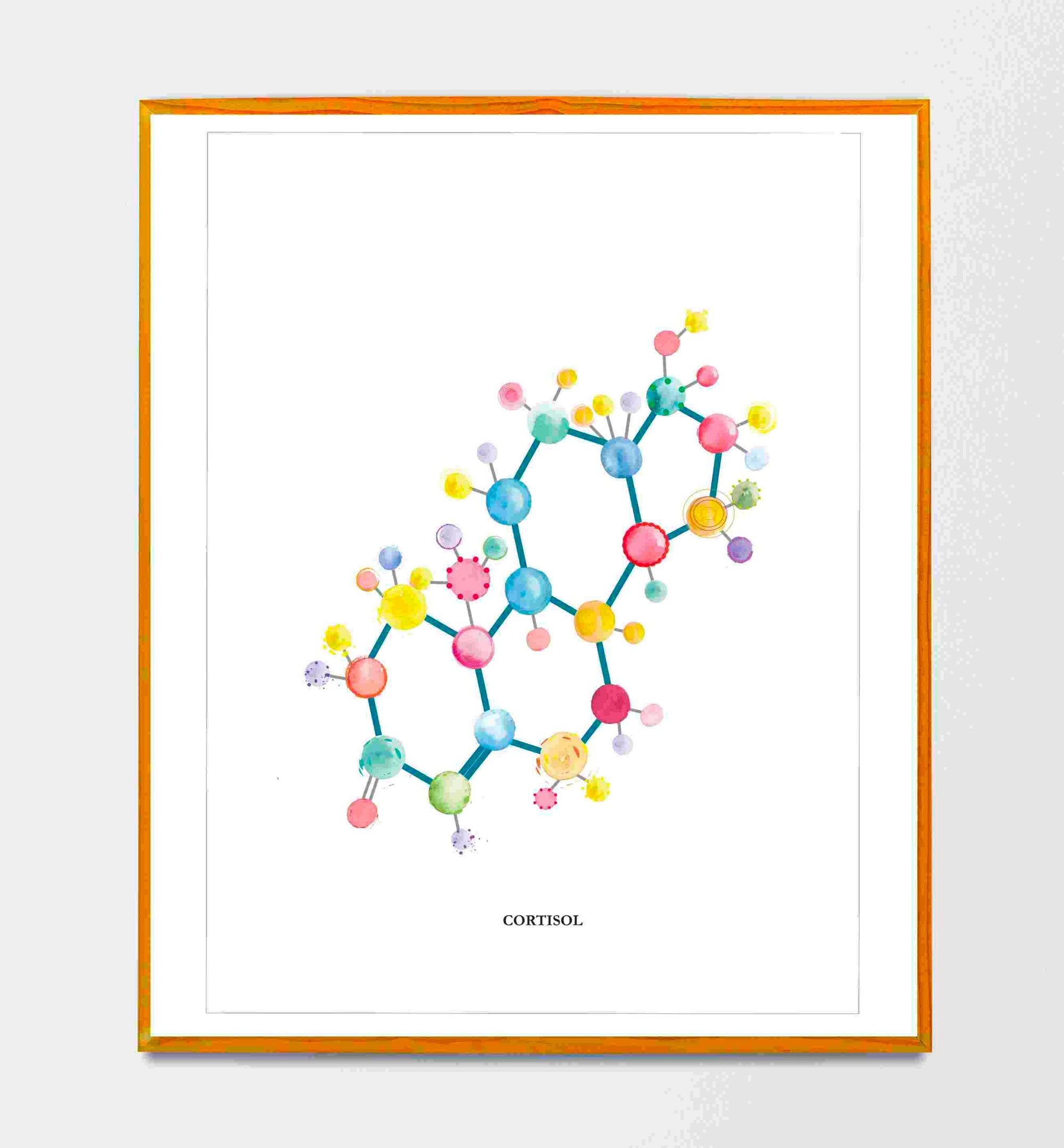 Cortisol Art, Molecule Art, Science Art, Chemistry Gift, Endocrinology Art, Endocrinologist Gift, Molecule Poster, Pharmacy Art, Pharmacist