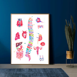 Chiropractic Art, Chiropractor Chart, Spinal Nerve, Abstract Anatomy Art, Osteopathy Art, Chiropractor Gift, Chiropractic Wall Art
