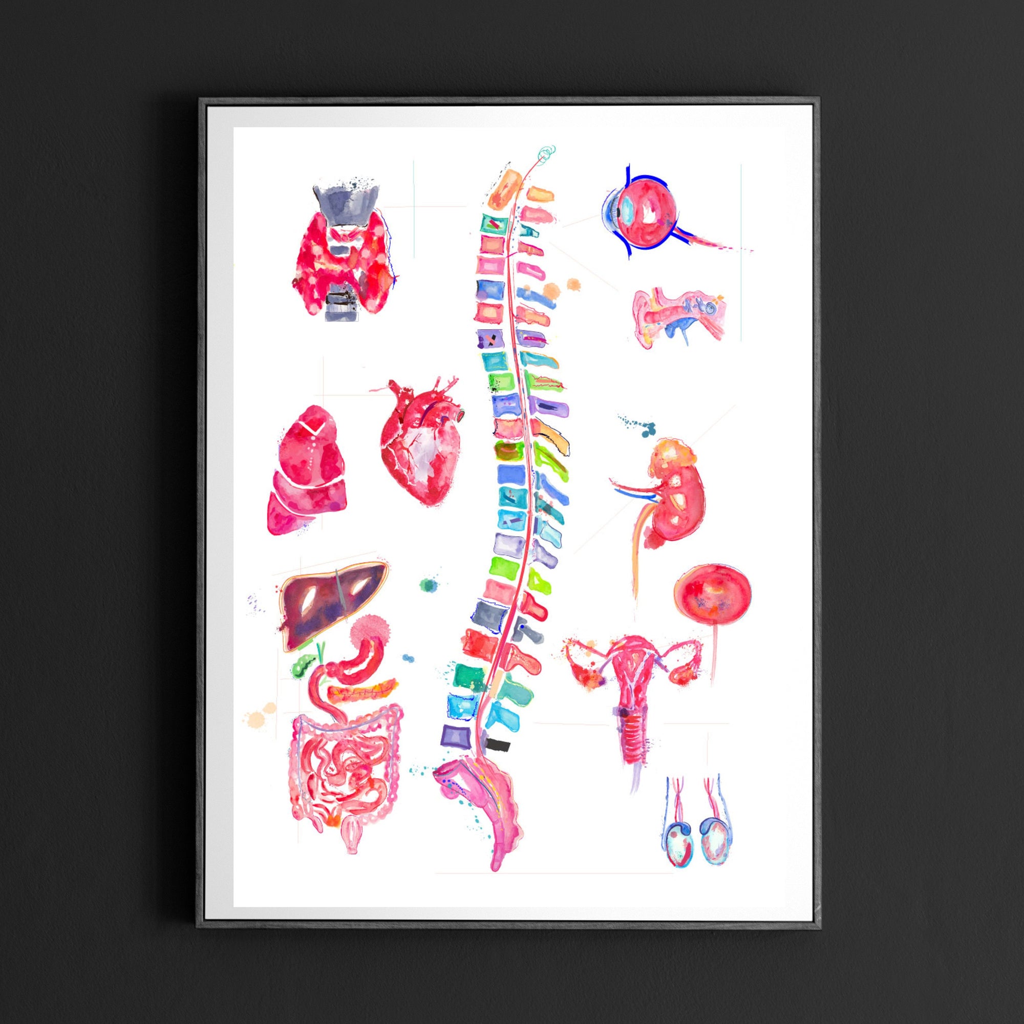 Chiropractic Art, Chiropractor Chart, Spinal Nerve, Abstract Anatomy Art, Osteopathy Art, Chiropractor Gift, Chiropractic Wall Art