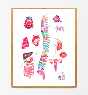 Chiropractic Art, Chiropractor Chart, Spinal Nerve, Abstract Anatomy Art, Osteopathy Art, Chiropractor Gift, Chiropractic Wall Art