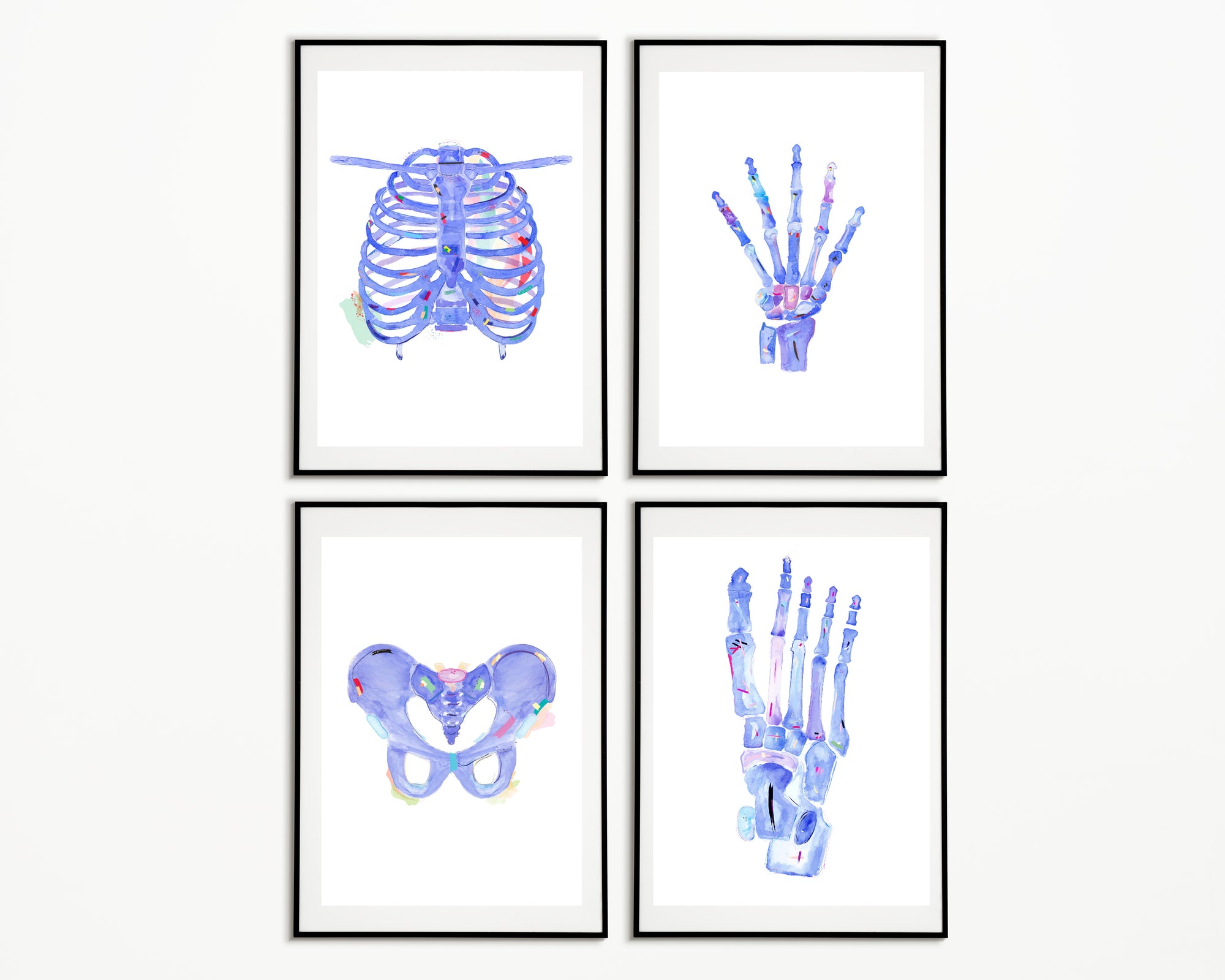 Physical Therapy and Chiropractic Art Print Set of 4, Physical Therapist Gift, Orthopedic Surgeon Gift, Chiropractor Gift, Human Anatomy