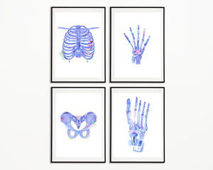 chiropractor anatomy art print set of 4