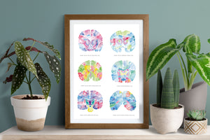Brain Neuroanatomy Art, Neurologist Gift, Medical Office Decor